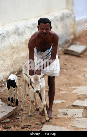 Homme rurales indiennes avec petit taureau Andhra Pradesh Inde du Sud Banque D'Images