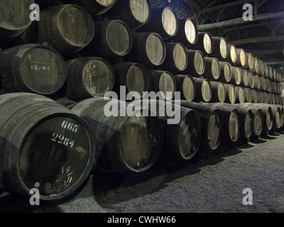 Barils de vin de porto à échéance dans les caves à Porto Portugal Croft Banque D'Images