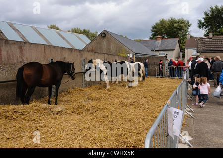 Marchandage au Ould Lammas Fair, Ballycastle Banque D'Images