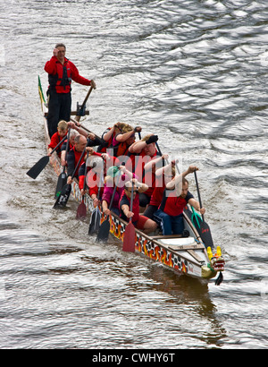 L'équipe de bateau-dragon les pratiques de formation session sur la rivière Severn Worcestershire Worcester angleterre Europe Banque D'Images