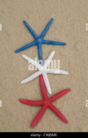 Starfish peint sur une plage Banque D'Images