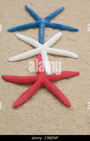 Starfish peint sur une plage Banque D'Images