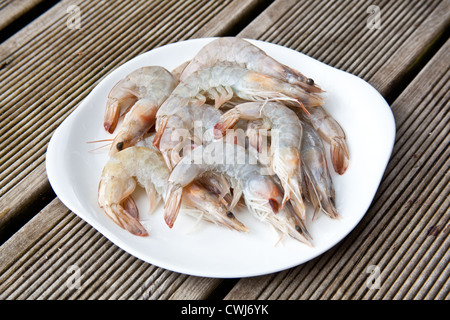 Crevettes géantes non cuits sur une assiette blanche. Banque D'Images