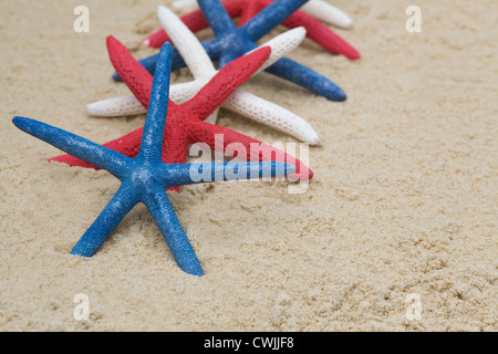 Starfish peint sur une plage Banque D'Images