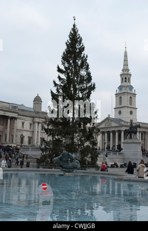 Arbre de Noël à Trafalgar Square reflète dans fontaine Banque D'Images