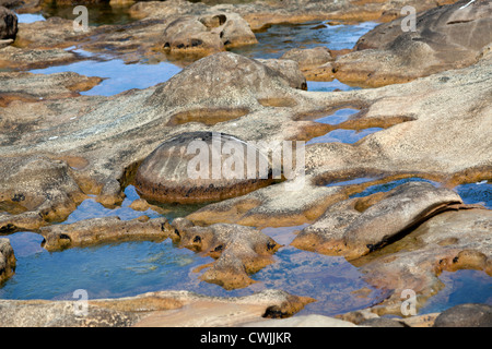 Intégré à Paramoudras (grès Jaizkibel - Guipuzkoa - Espagne). Paramoudras enchassés dans le grès (Espagne). Banque D'Images