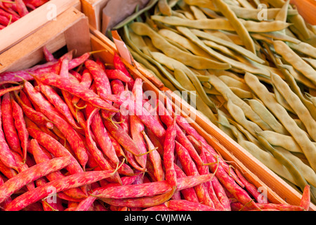 Les haricots pour vendre dans le marché d'Apt Provence France Banque D'Images