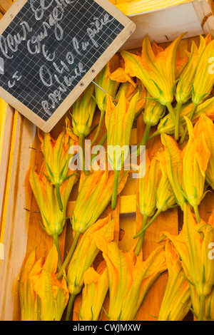 Fleurs de courgettes en vente sur le marché d'Apt Provence France Banque D'Images