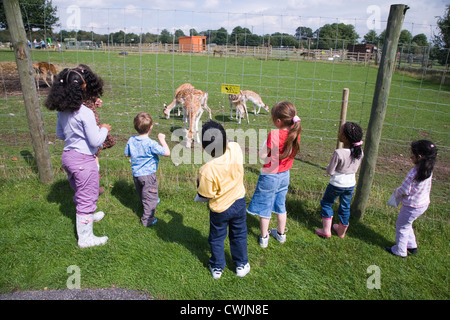 À la recherche d'enfants à rennes sur une visite d'une ferme de la ville, Banque D'Images