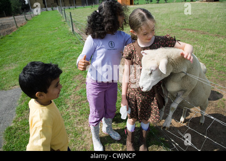 Les enfants de caresser un mouton sur une visite d'une ferme de la ville, Banque D'Images