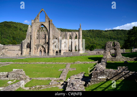 Abbaye de Tintern ruines dans la vallée de la Wye près de Chepstow Galles du Sud sur une journée d'été Banque D'Images