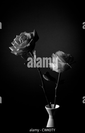 Noir Gris Roses Photo Stock Alamy