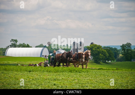 Le Comté de Lancaster PA Pennsylvania USA Amish farm. Banque D'Images