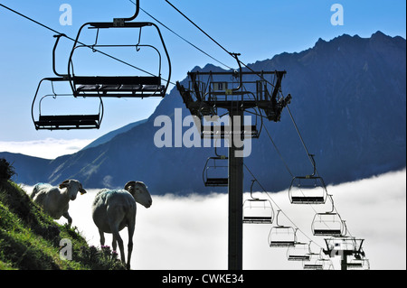 Moutons et télésiège vide dans la brume au lever du soleil le long du Col du Tourmalet dans les Pyrénées en été, France Banque D'Images