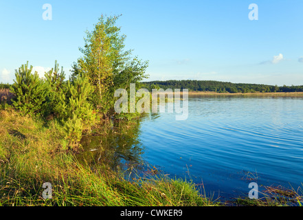 Rushy d'été avec vue sur le lac Pine Grove et les petits sur la rive opposée Banque D'Images