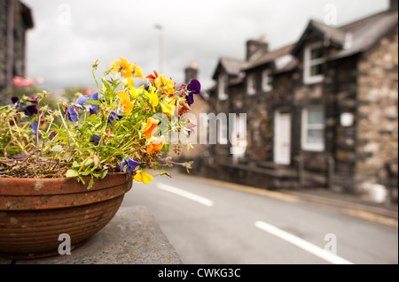 BETWS-Y-COED, pays de Galles, Royaume-Uni — Une rue pittoresque au cœur de Betws-y-Coed met en valeur le caractère charmant du village, avec des bâtiments traditionnels en pierre qui bordent l'artère. Ce pittoresque village gallois, niché dans la vallée de Conwy dans le parc national de Snowdonia, sert de porte d'entrée populaire pour les touristes explorant la beauté sauvage du nord du pays de Galles. Banque D'Images