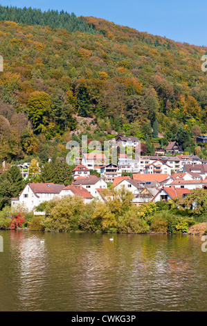 Petite ville sur la rivière Neckar, Allemagne. Banque D'Images