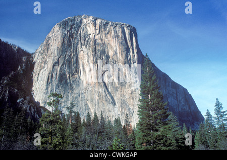 Une vue d'El Capitan au Yosemite National Park, California, USA. Banque D'Images