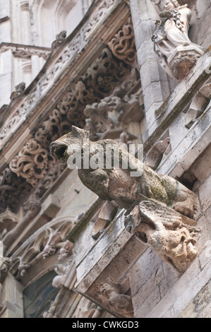 La cathédrale Saint-Pierre de Ratisbonne, Allemagne. Banque D'Images