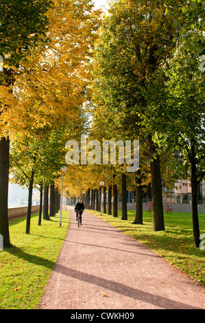 Sentier bordé d'arbres le long de la rivière de l'Elbe à Dresde, Allemagne. Banque D'Images