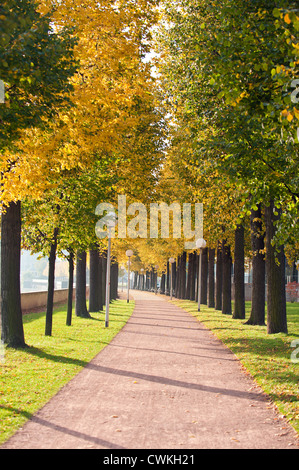 Sentier bordé d'arbres le long de la rivière de l'Elbe à Dresde, Allemagne. Banque D'Images