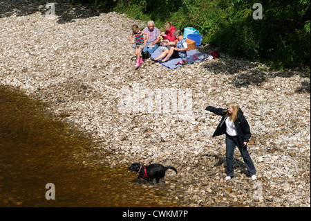 Jeune femme sur les bords de la rivière de jeter un bâton dans l'eau pour son chien pour récupérer vu par family having picnic Banque D'Images