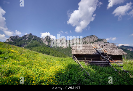 Village paysage de montagne en été, les Carpates roumaines Banque D'Images