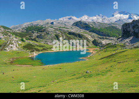 L'Espagne, Asturies : Lago Ercina dans le Parc National de Picos de Europa Banque D'Images