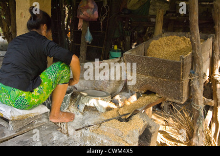 Close up portrait of horizontal d'une femme cambodgienne en papier de riz comestible, bánh tráng ou bánh đa nem, utilisé dans la cuisine cambodgienne Banque D'Images