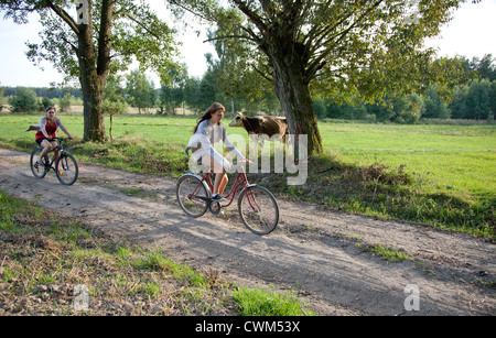 Polish teen bicyclers femelle voyageant le long chemin de terre passant une vache dans un champ. Zawady Centre de la Pologne Banque D'Images