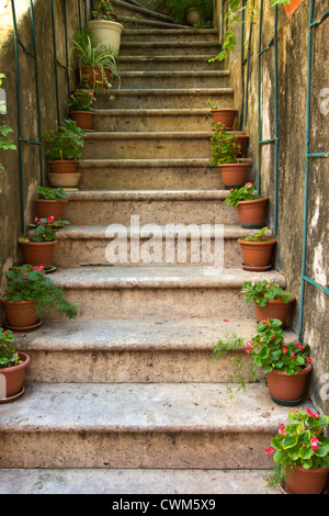 Escalier en pierre avec des plantes dans une ville médiévale avec des voies pavées Banque D'Images