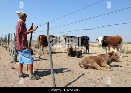 Un garçon (15) de l'élevage de vaches de la tribu San bushman, désert du Kalahari, en Namibie Banque D'Images