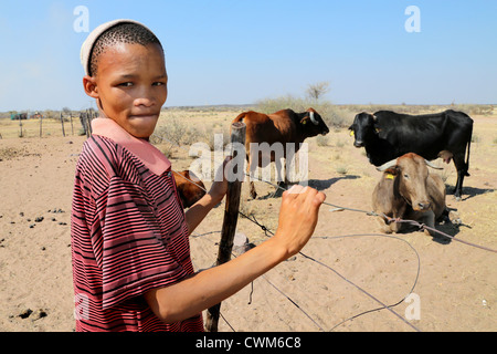 Un garçon (15) de l'élevage de la tribu San bushman vaches d'un agriculteur, désert du Kalahari, en Namibie Banque D'Images