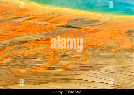 Grand Prismatic Spring de high point de vue, le Parc National de Yellowstone, Wyoming, USA Banque D'Images