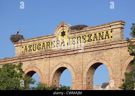 Les nids de cigognes sur le dessus d'une sucrerie ruine, Jerez de la Frontera, Andalousie Espagne Banque D'Images