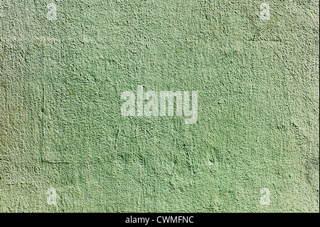 Mur végétalisé Banque D'Images