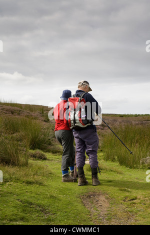 Et détecteurs Redmire Grinton Moors à Reeth dans le North Yorkshire Dales, Richmondshire, UK Banque D'Images