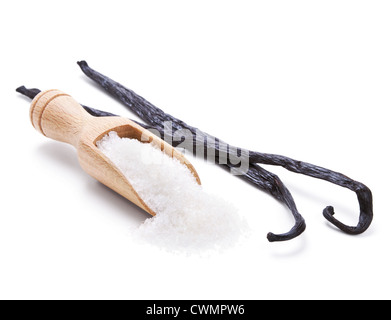 Les gousses de vanille et le sucre vanillé isolated on white Banque D'Images