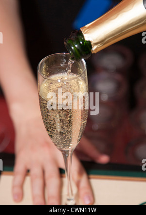 Lady pouring champagne Banque D'Images