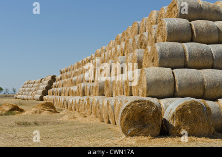 La paille des pâturages et des grandes piles de balles de foin sur la ferme de bétail, horizontal tourné Banque D'Images