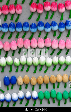 Tulip fleur fleurs fleurs fleurs Fridge Magnet magnets amsterdam vacances souvenirs babiole rose orange jaune bleu blanc Banque D'Images