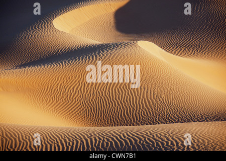 Désert du Sahara dunes de sable de l'Erg Lihoudi, M'hamid, Maroc. Banque D'Images