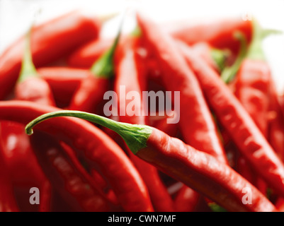 Capsicum annuum, Chili Banque D'Images