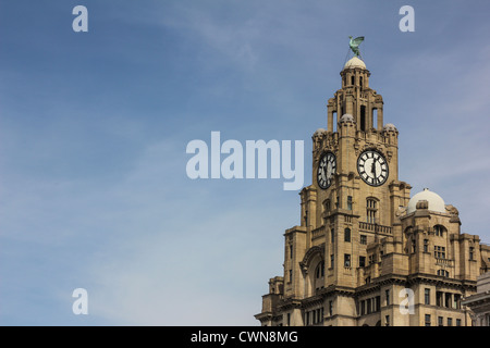 Le célèbre Royal Liver Building, un bâtiment classé, l'un des trois Grâces sur le front de mer de Liverpool. Construit en 1911. Banque D'Images