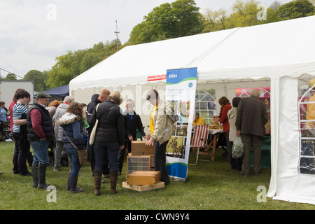 'Bee Amélioration et apiculteurs Association à la campagne du Lancashire à jour Expérience Witton Country Park en 2012. Banque D'Images