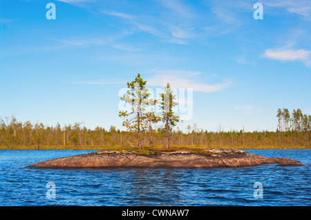 Île de la forme d'un rocher lisse avec plusieurs pins sur des pierres sur le lac bleu Banque D'Images