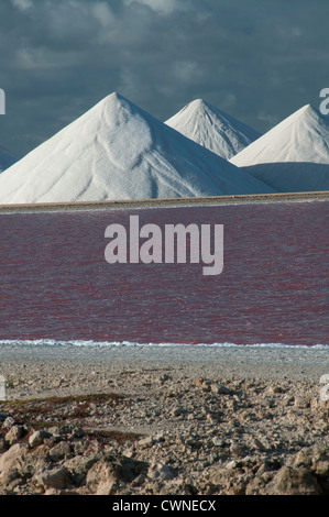 Montagne de Sel et la production d'un lac sur l'île de Bonaire, Antilles néerlandaises Banque D'Images