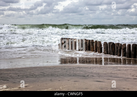 Épi, plage, Kampen, Sylt, Mer du Nord, Schleswig-Holstein, Allemagne Banque D'Images