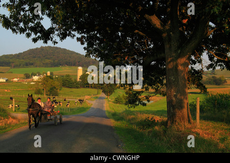 Buggy Mennonite près de Dayton dans la vallée de Shenandoah en Virginie, USA Banque D'Images