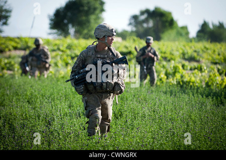 Un parachutiste de l'Armée américaine par le biais de patrouilles le champ de luzerne, 14 juin 2012 dans le sud de la province de Ghazni, Afghanistan. Banque D'Images